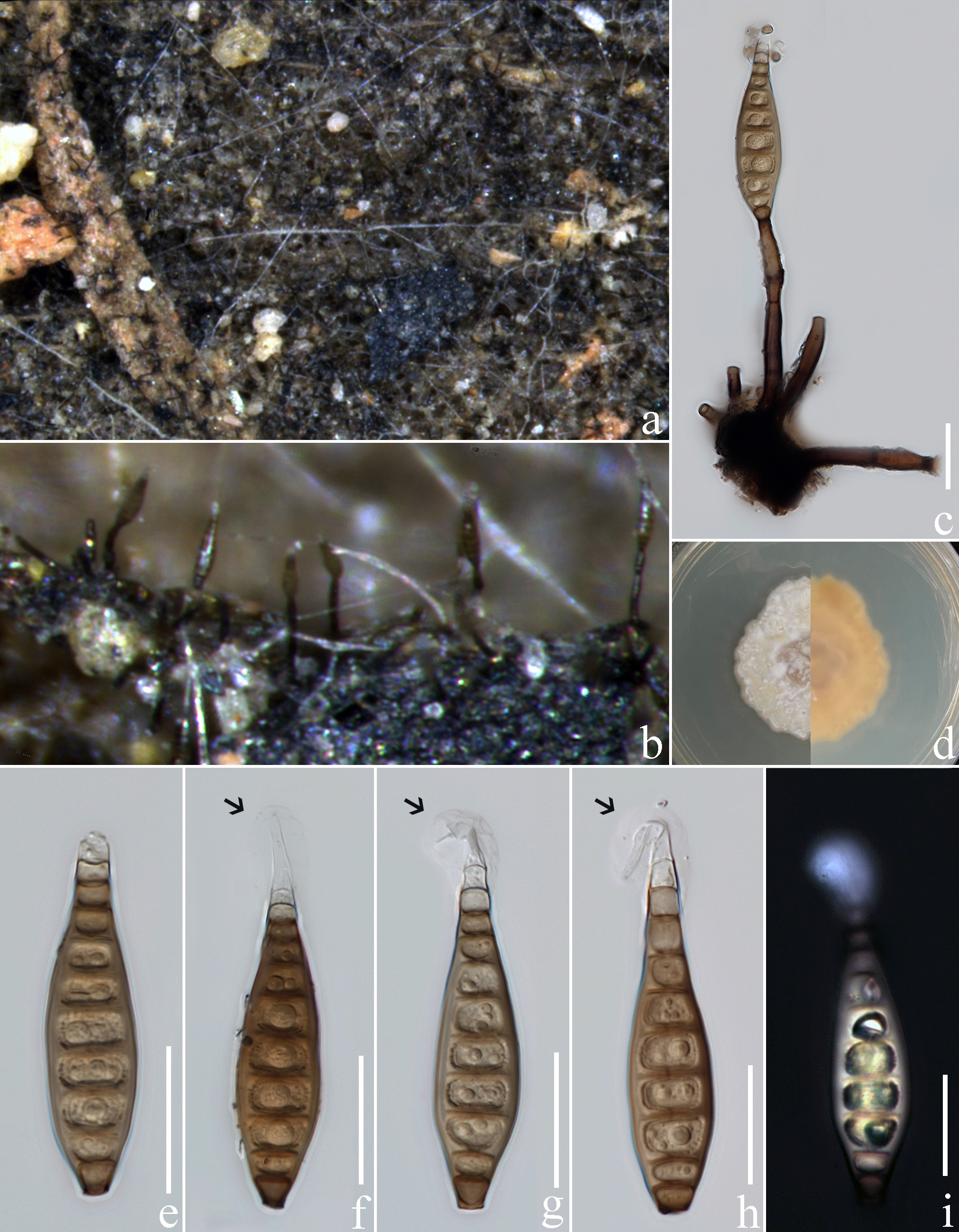 Figure 108